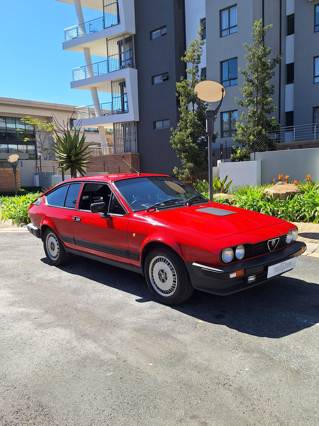 1981 Alfa Romeo 2.5 GTV - image 5