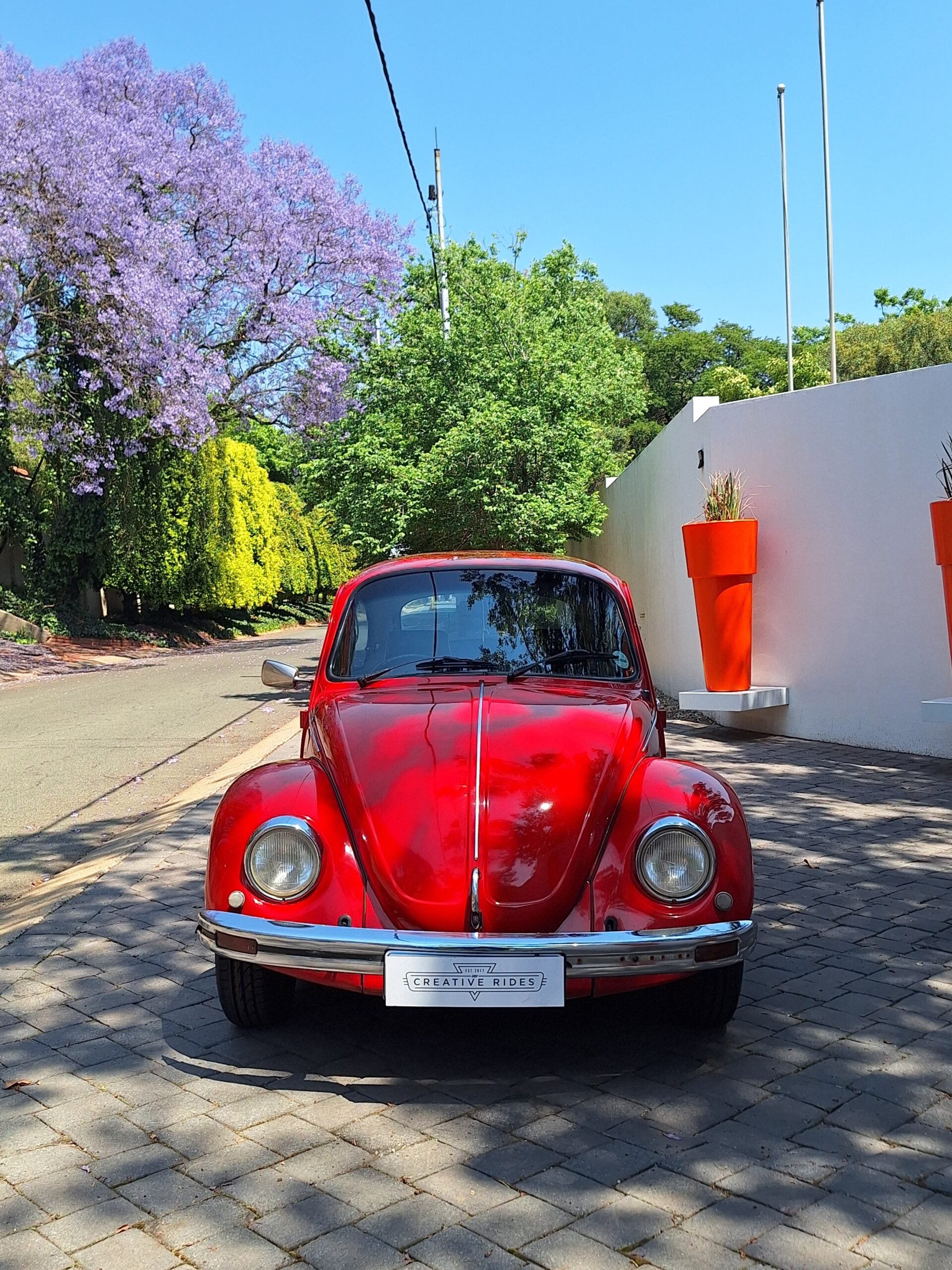 Volkswagen Beetle 1600S - image 5