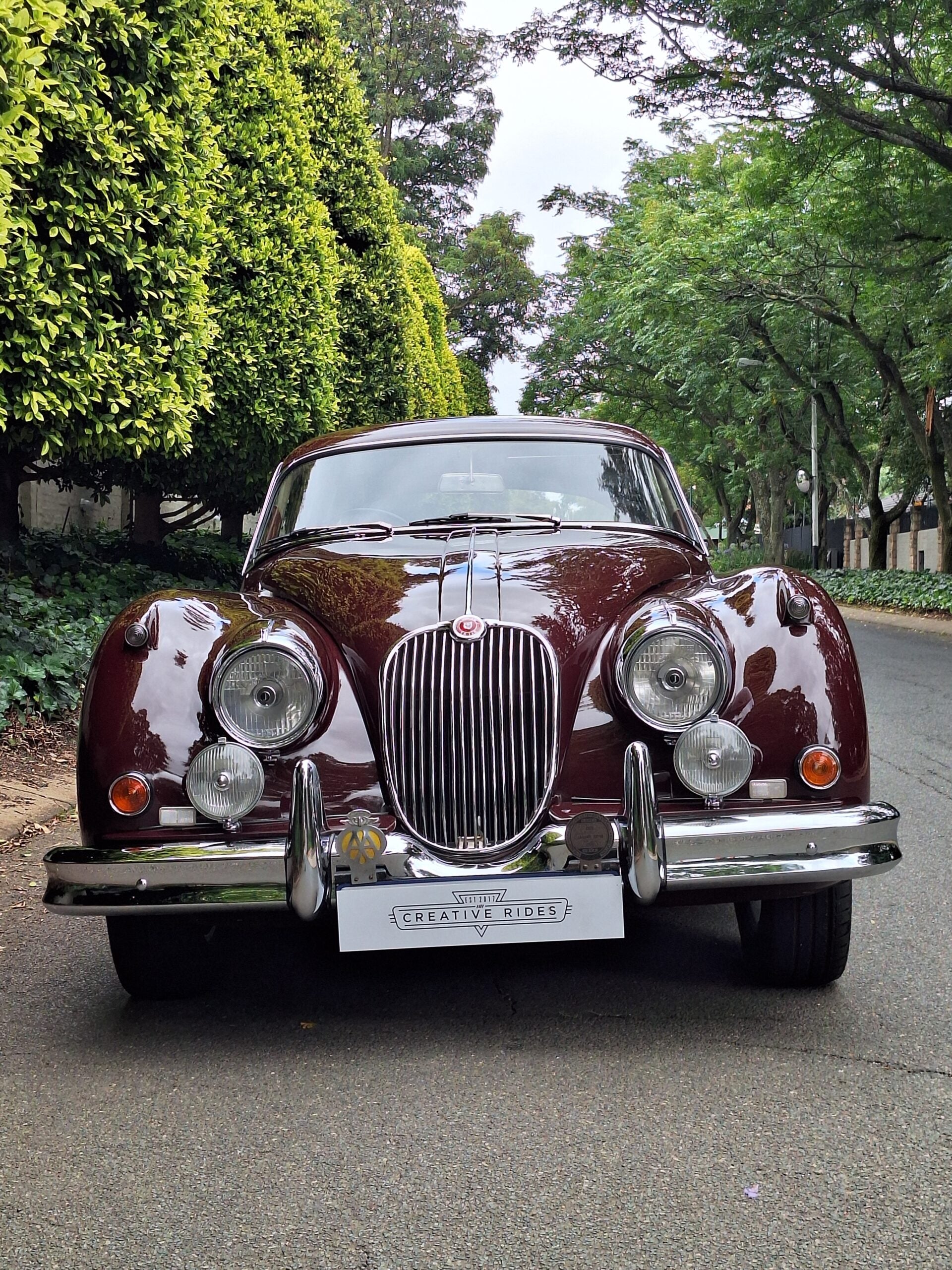 Jaguar XK 150 FHC (Fixed Head Coupe) - image 6