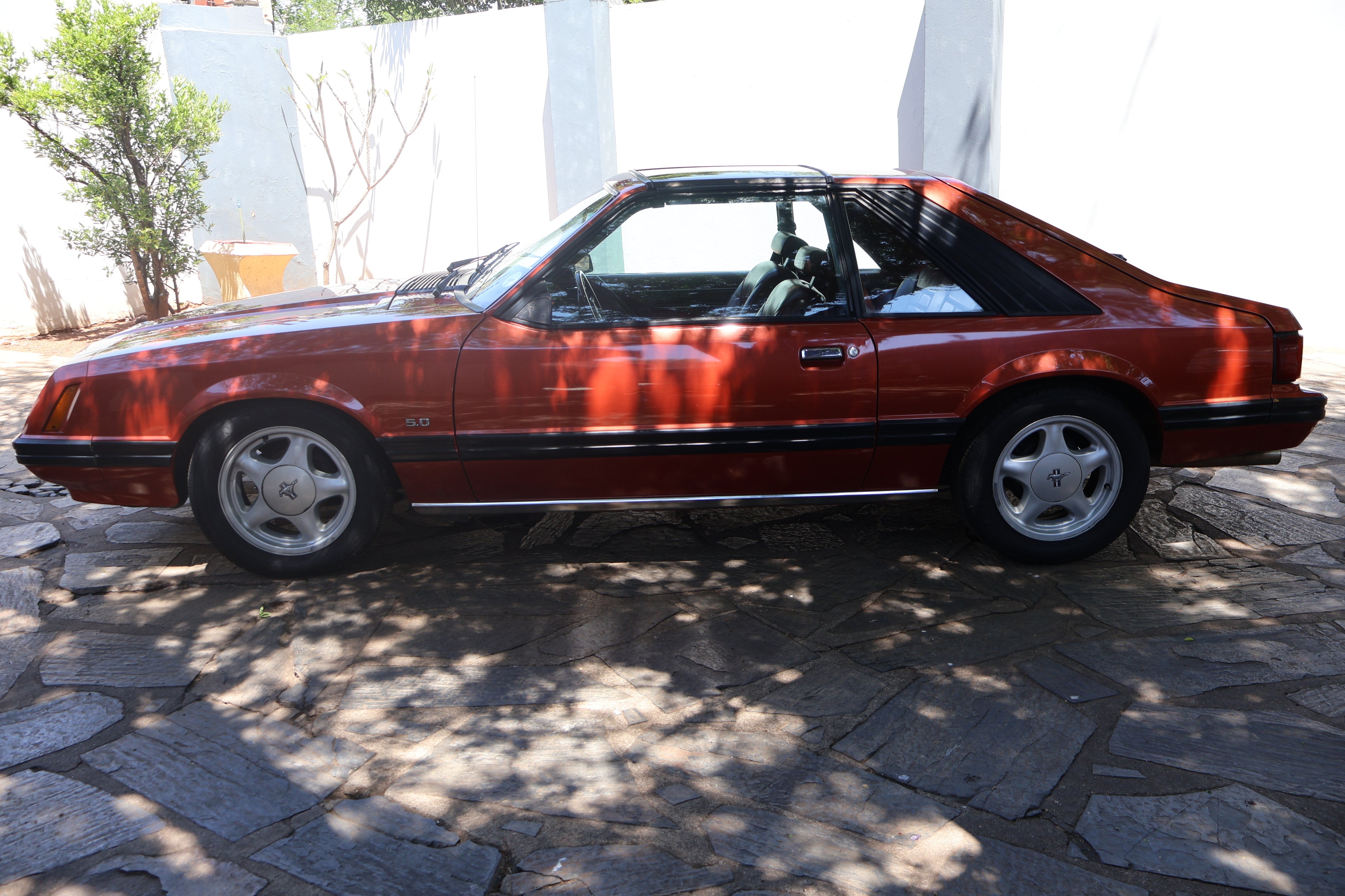 1981 Ford Mustang 5.0 South Africa - photo 8