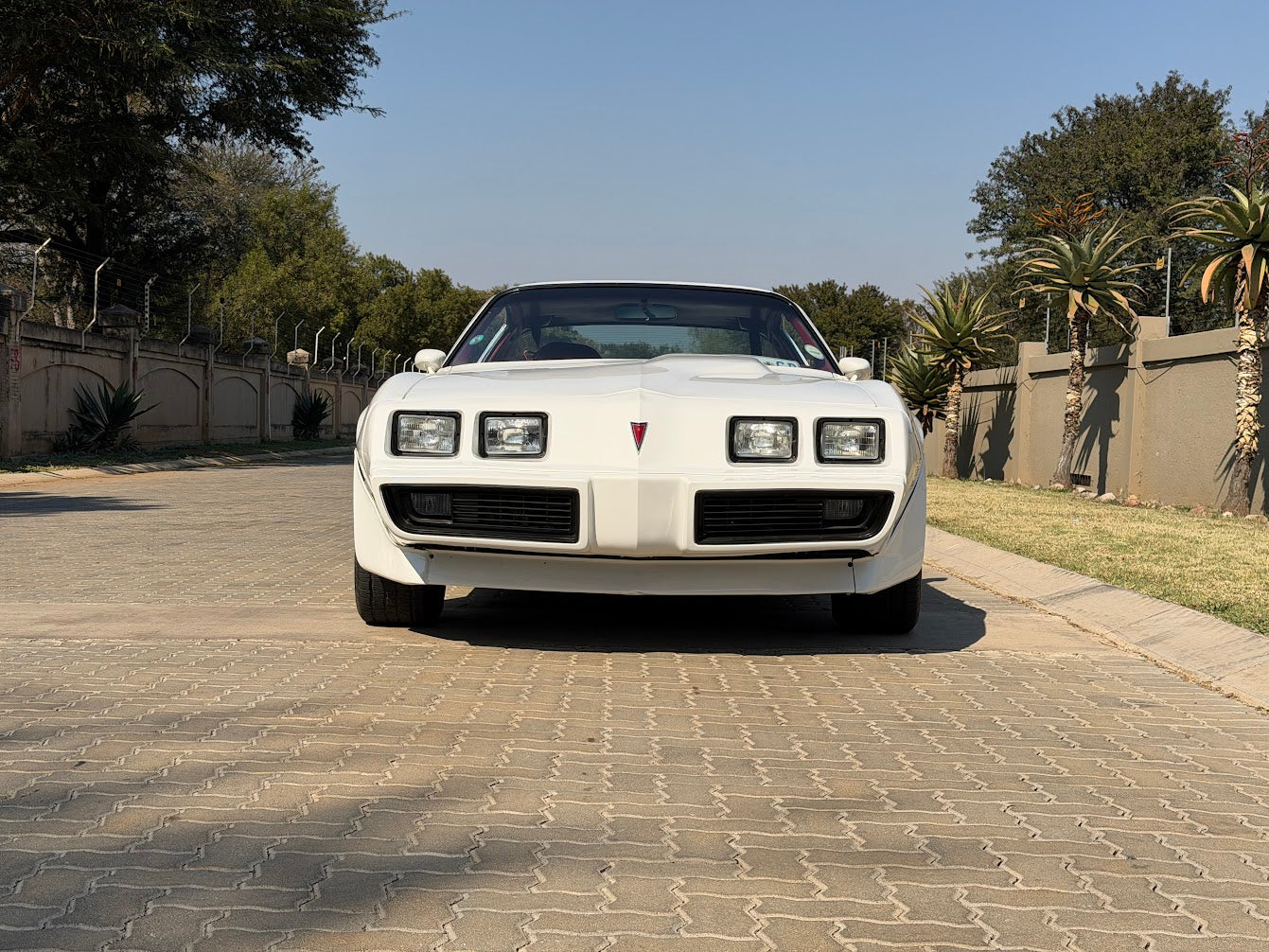 1980 Pontiac Trans Am South Africa - photo 2