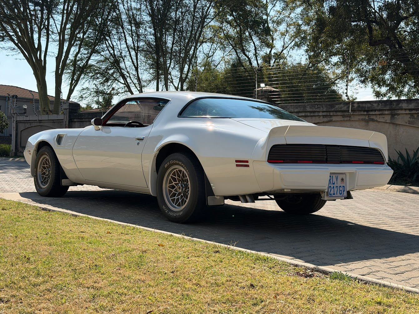 1980 Pontiac Trans Am South Africa - photo 4