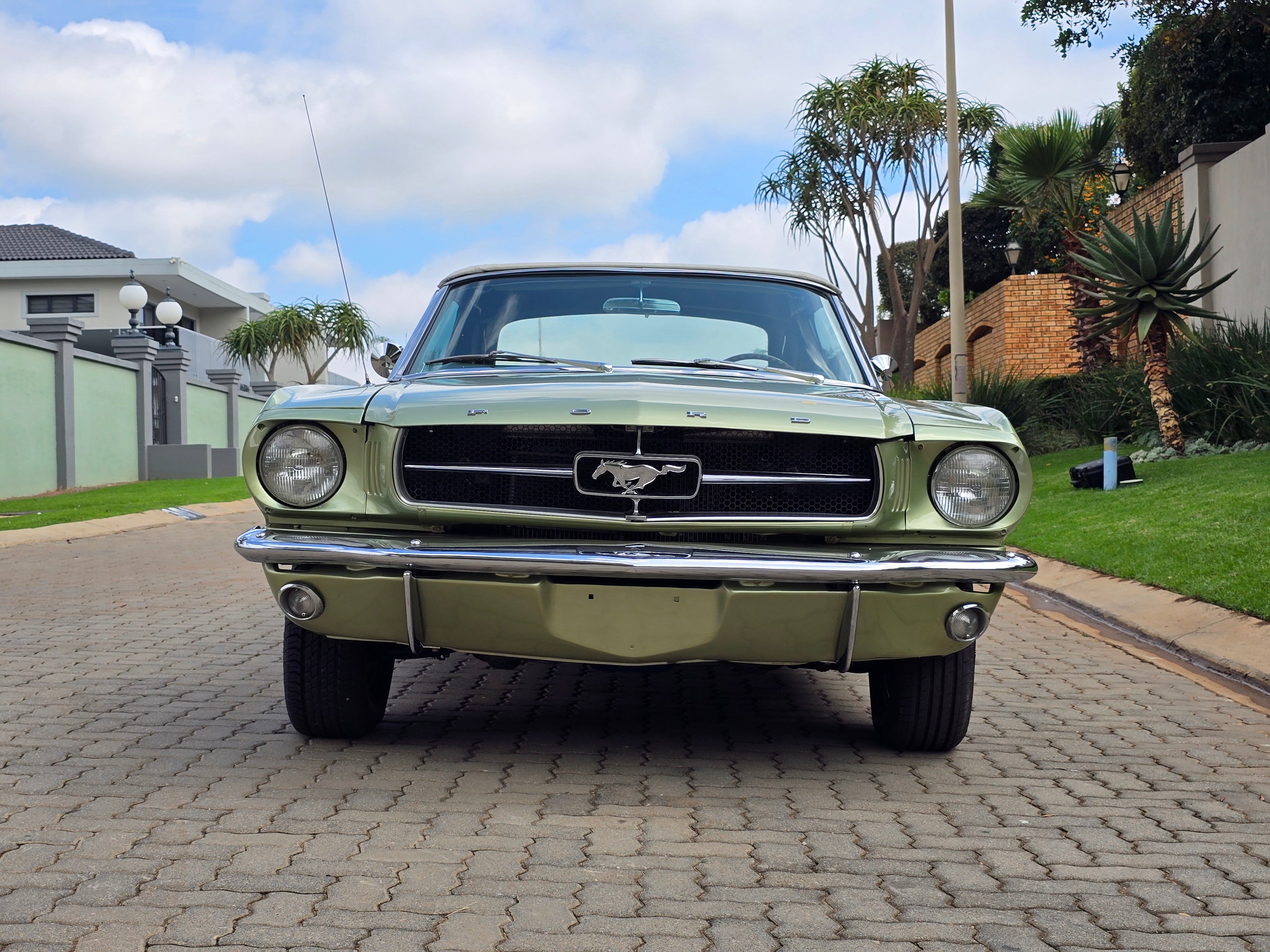 1965 Ford Mustang South Africa - photo 9