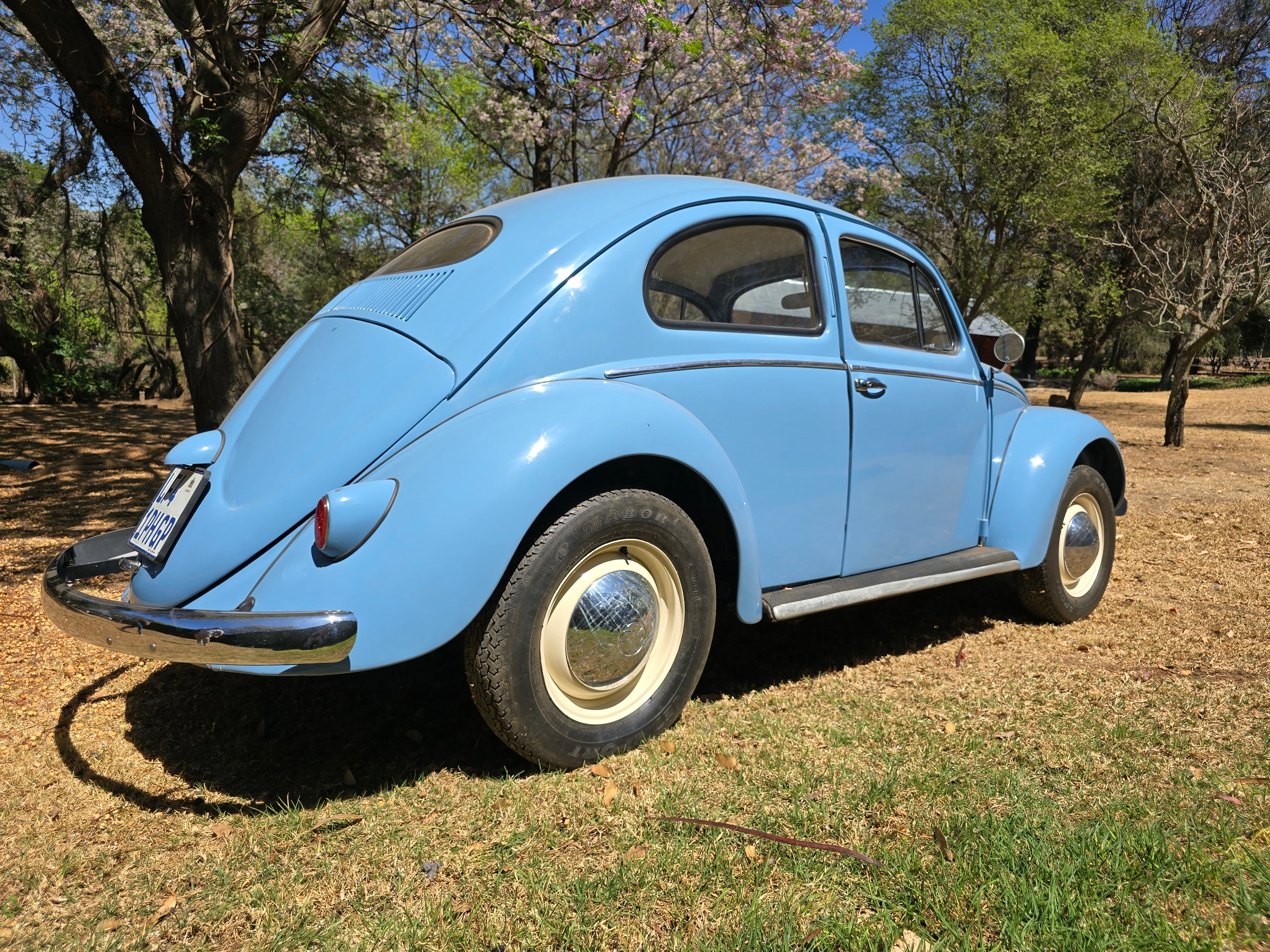 1956 Volkswagen Oval Beetle South Africa - photo 6