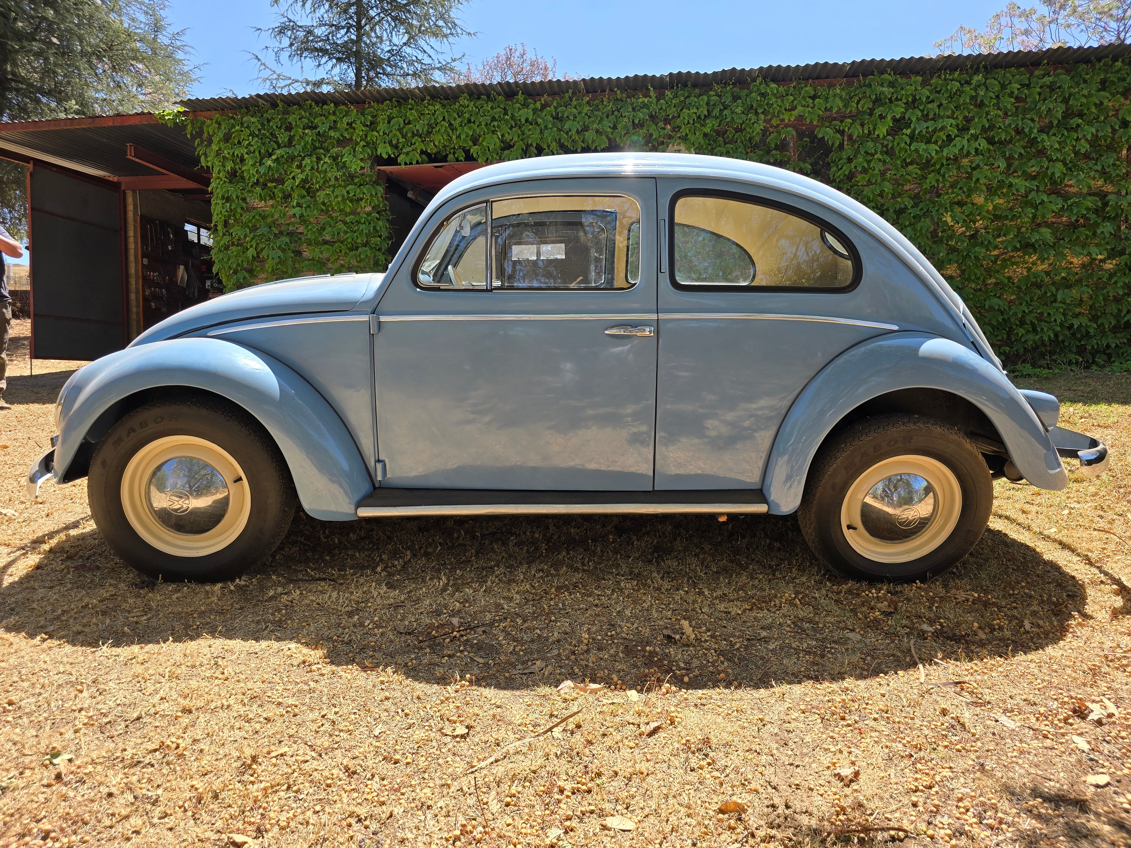 1956 Volkswagen Oval Beetle South Africa - photo 2