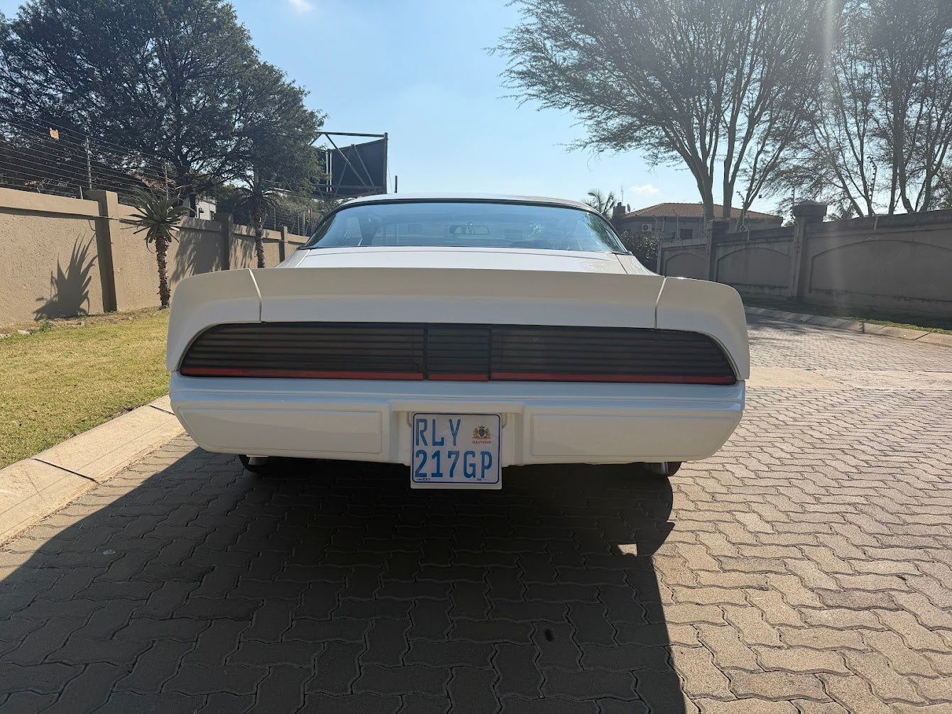 1980 Pontiac Trans Am South Africa - photo 9
