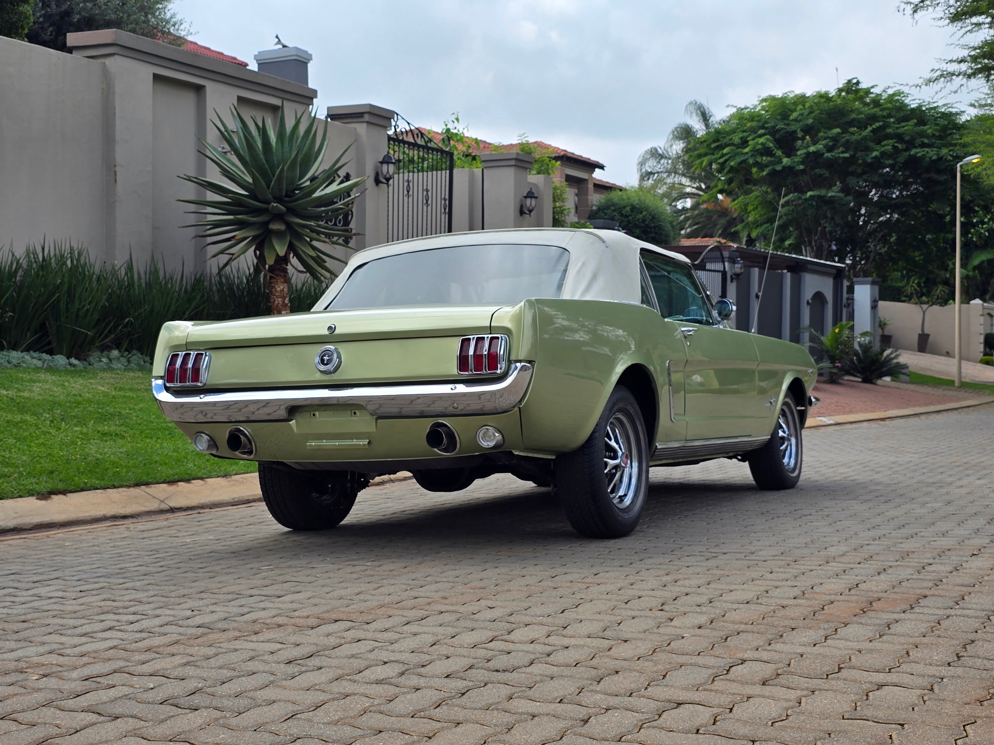 1965 Ford Mustang South Africa - photo 6