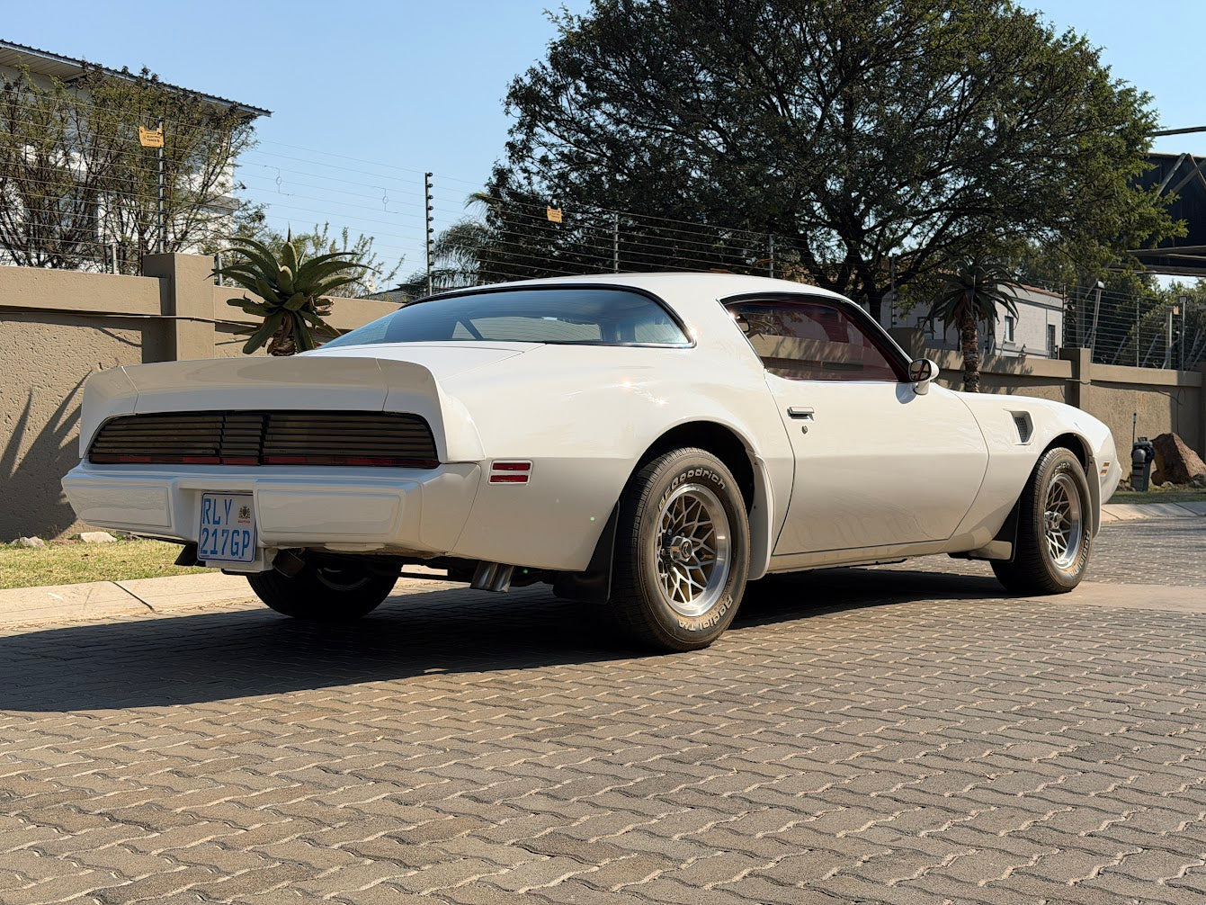 1980 Pontiac Trans Am South Africa - photo 3