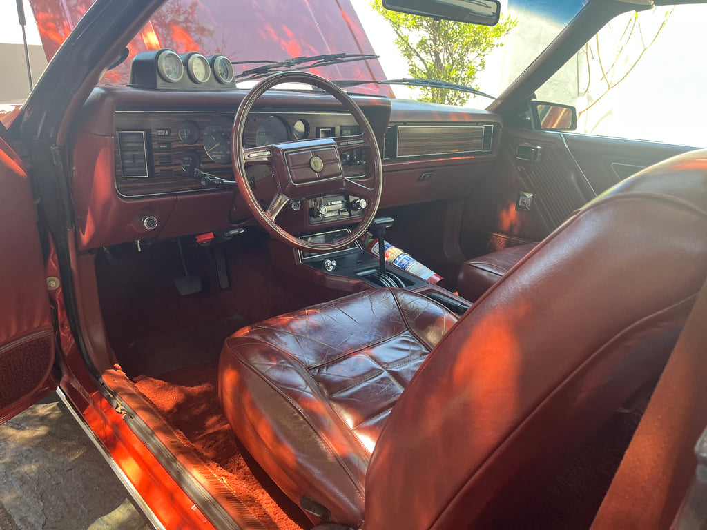 1981 Ford Mustang 5.0 South Africa - photo 10