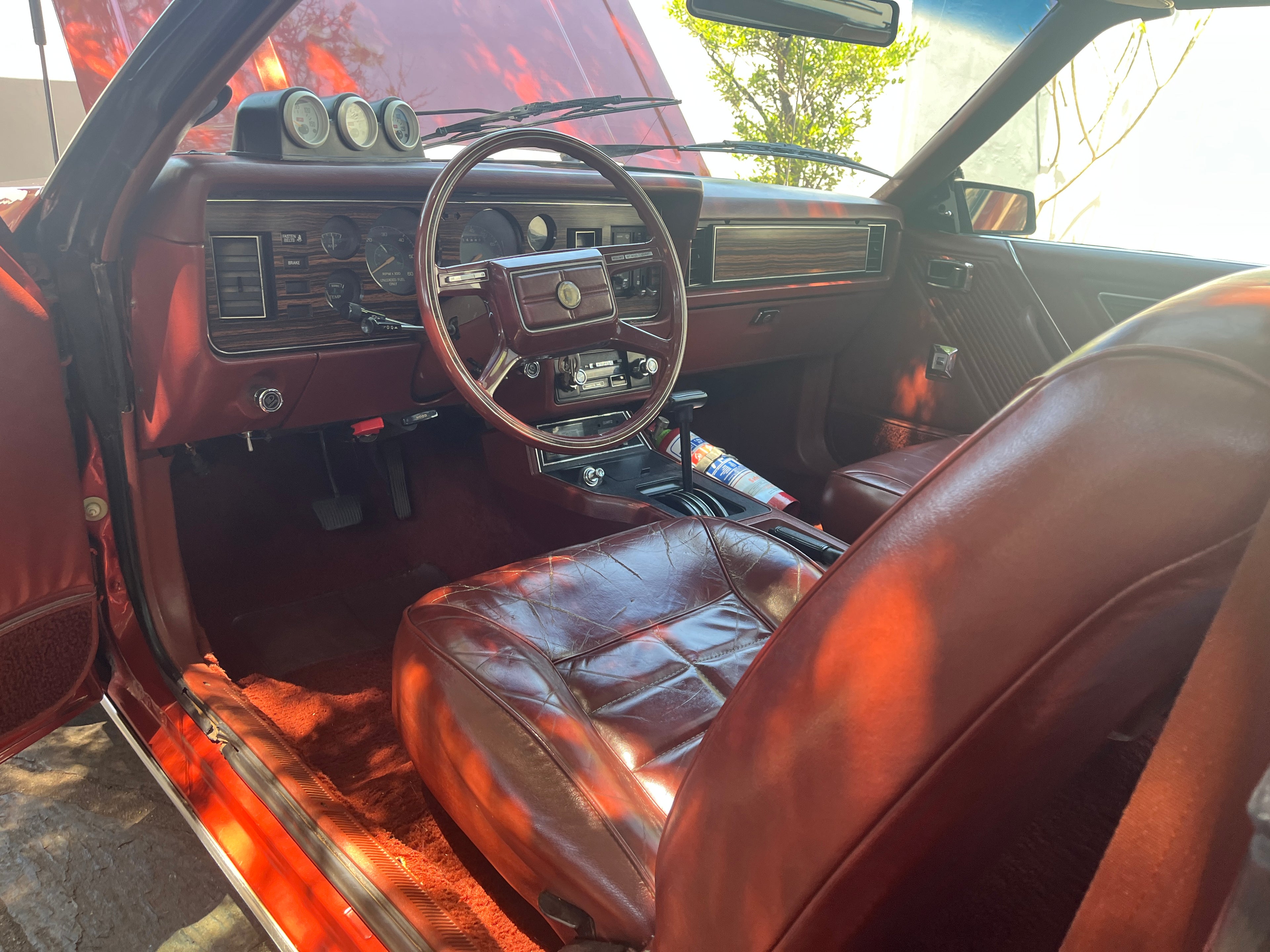 1981 Ford Mustang 5.0 South Africa - photo 10