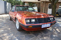 1981 Ford Mustang 5.0 South Africa