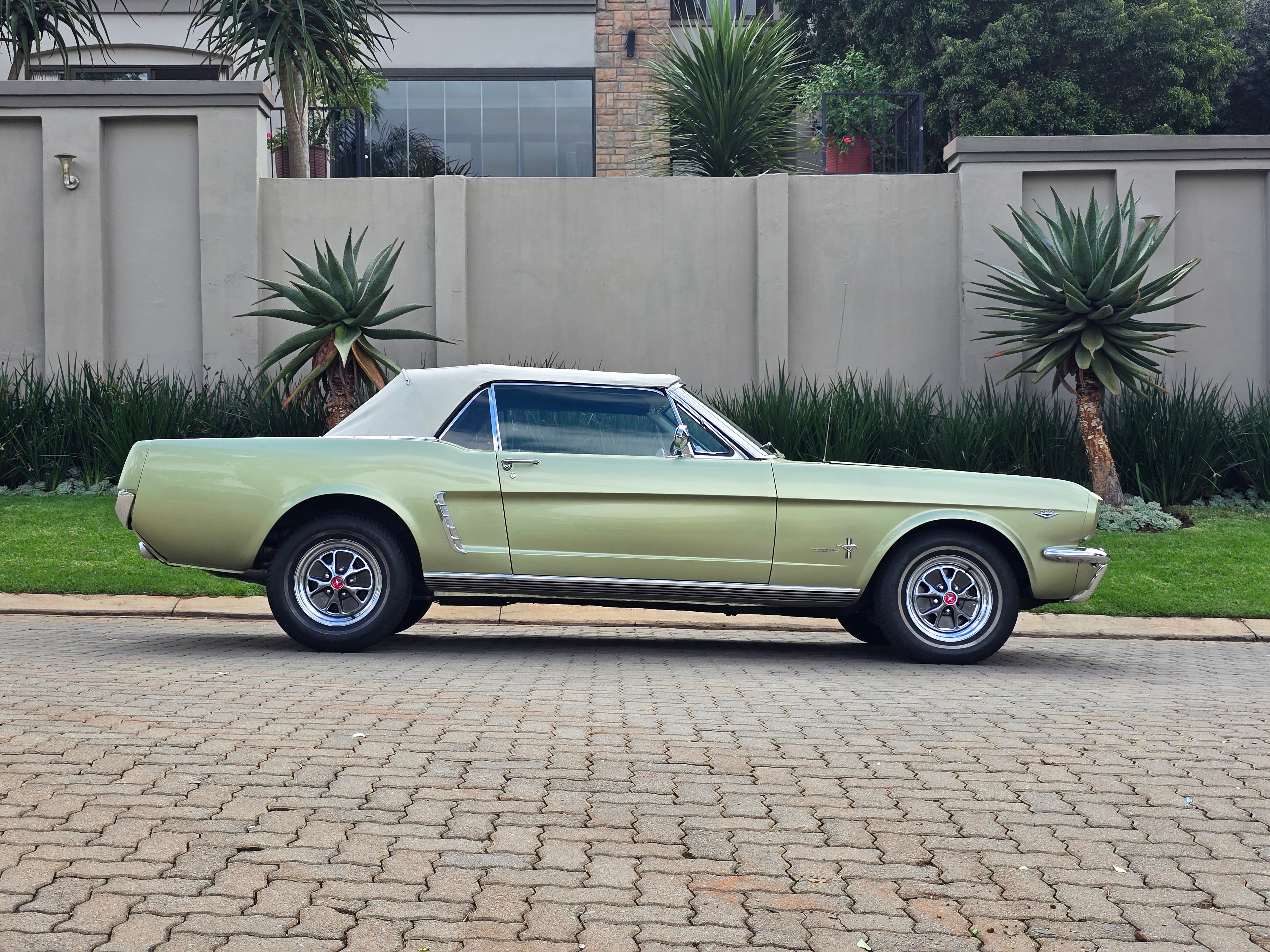1965 Ford Mustang South Africa - photo 4