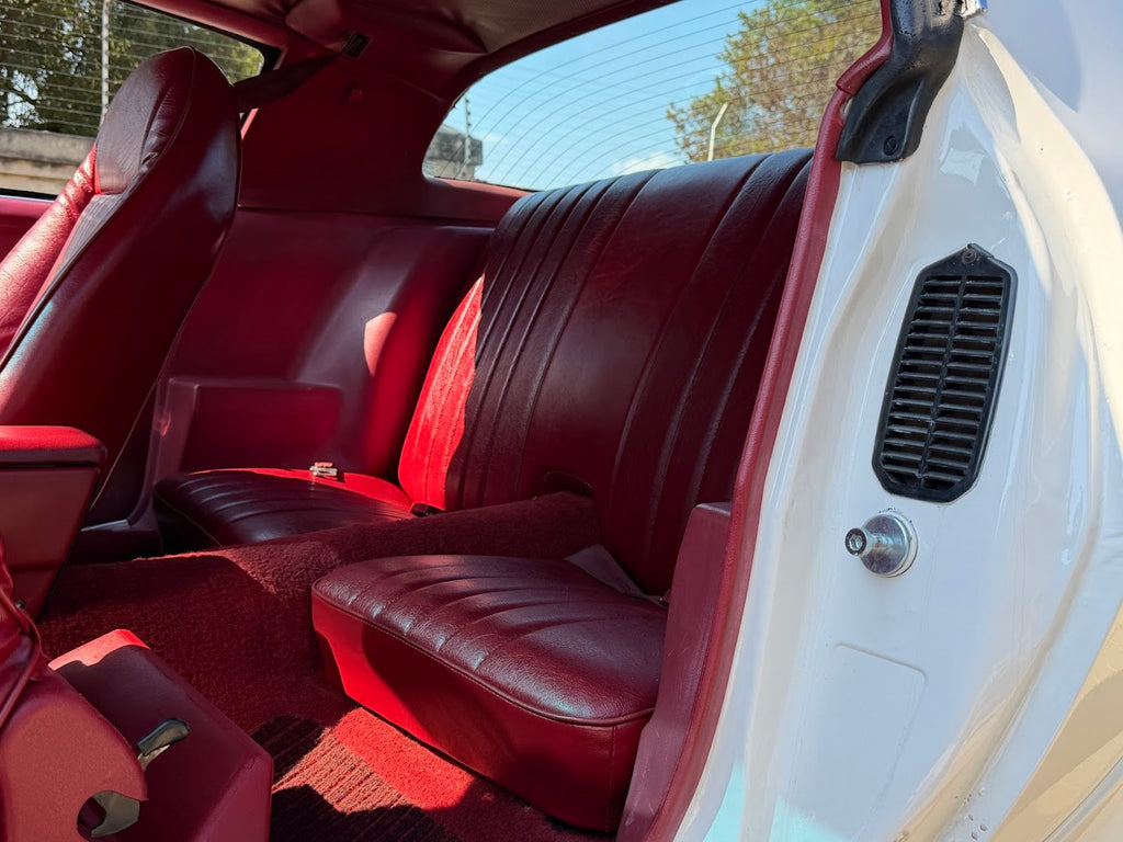 1980 Pontiac Trans Am South Africa - photo 8