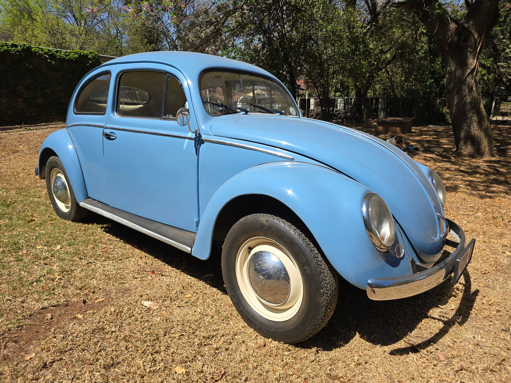 1956 Volkswagen Oval Beetle South Africa