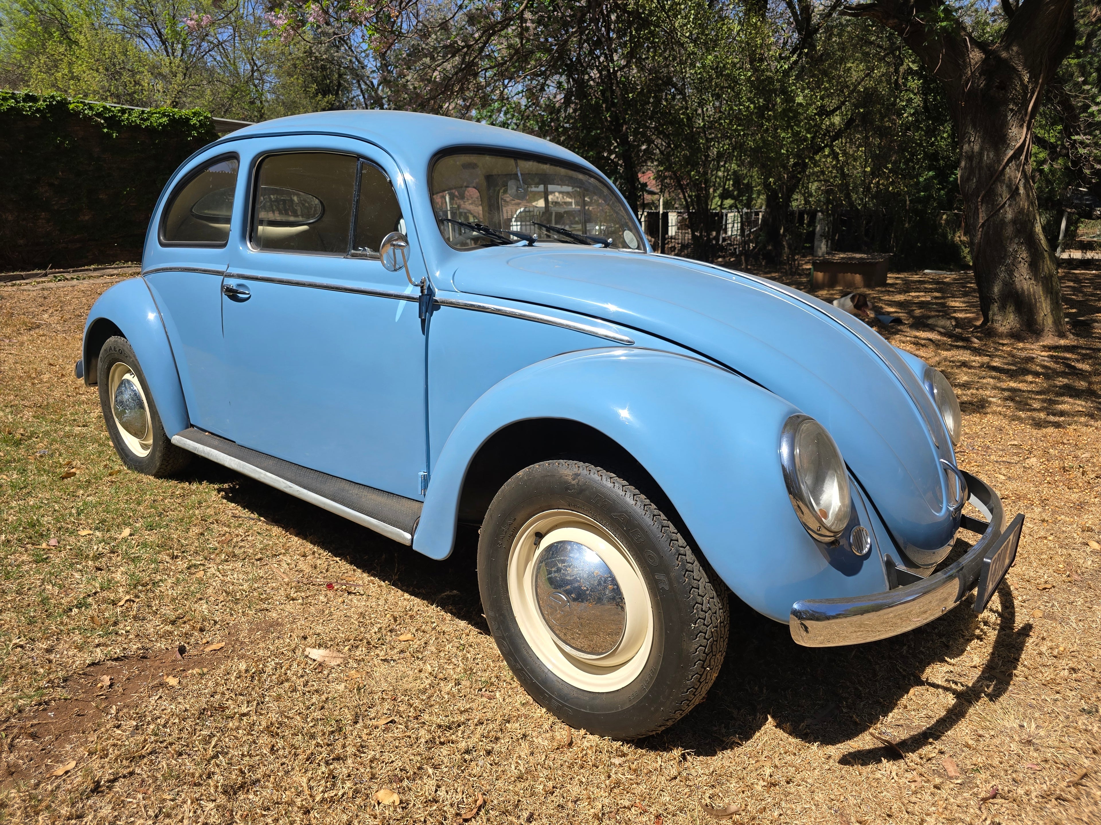 1956 Volkswagen Oval Beetle South Africa