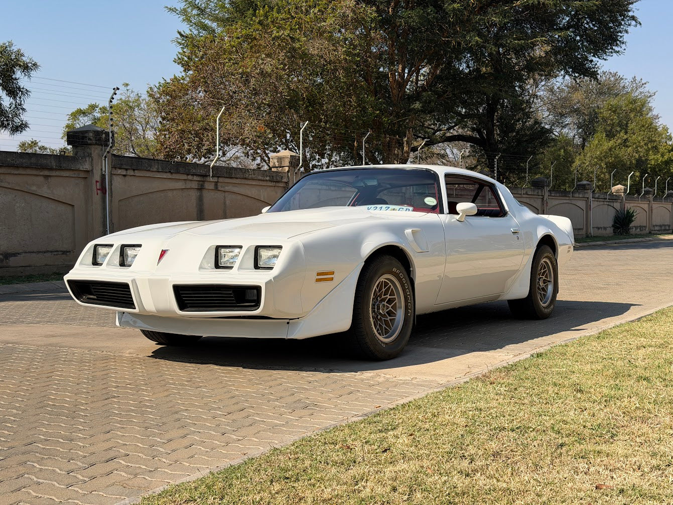 1980 Pontiac Trans Am South Africa