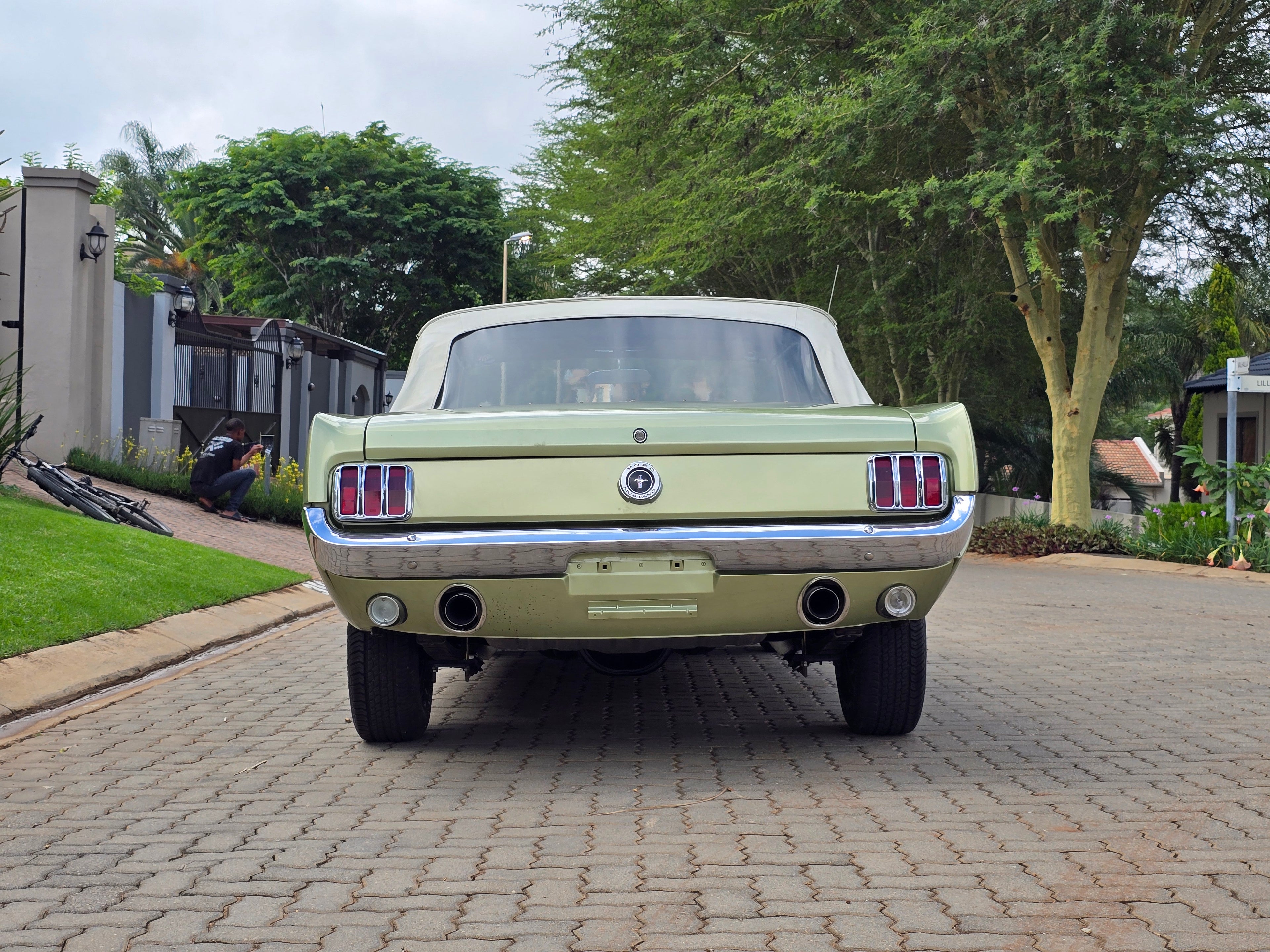 1965 Ford Mustang South Africa - photo 7