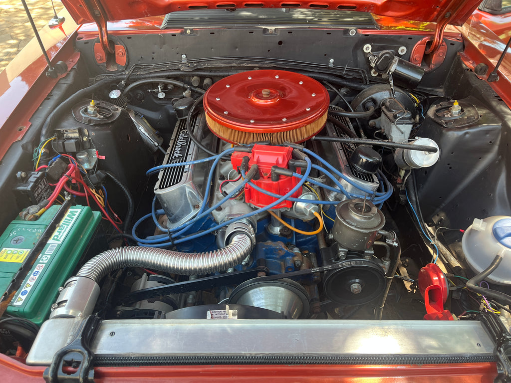 1981 Ford Mustang 5.0 South Africa - photo 5