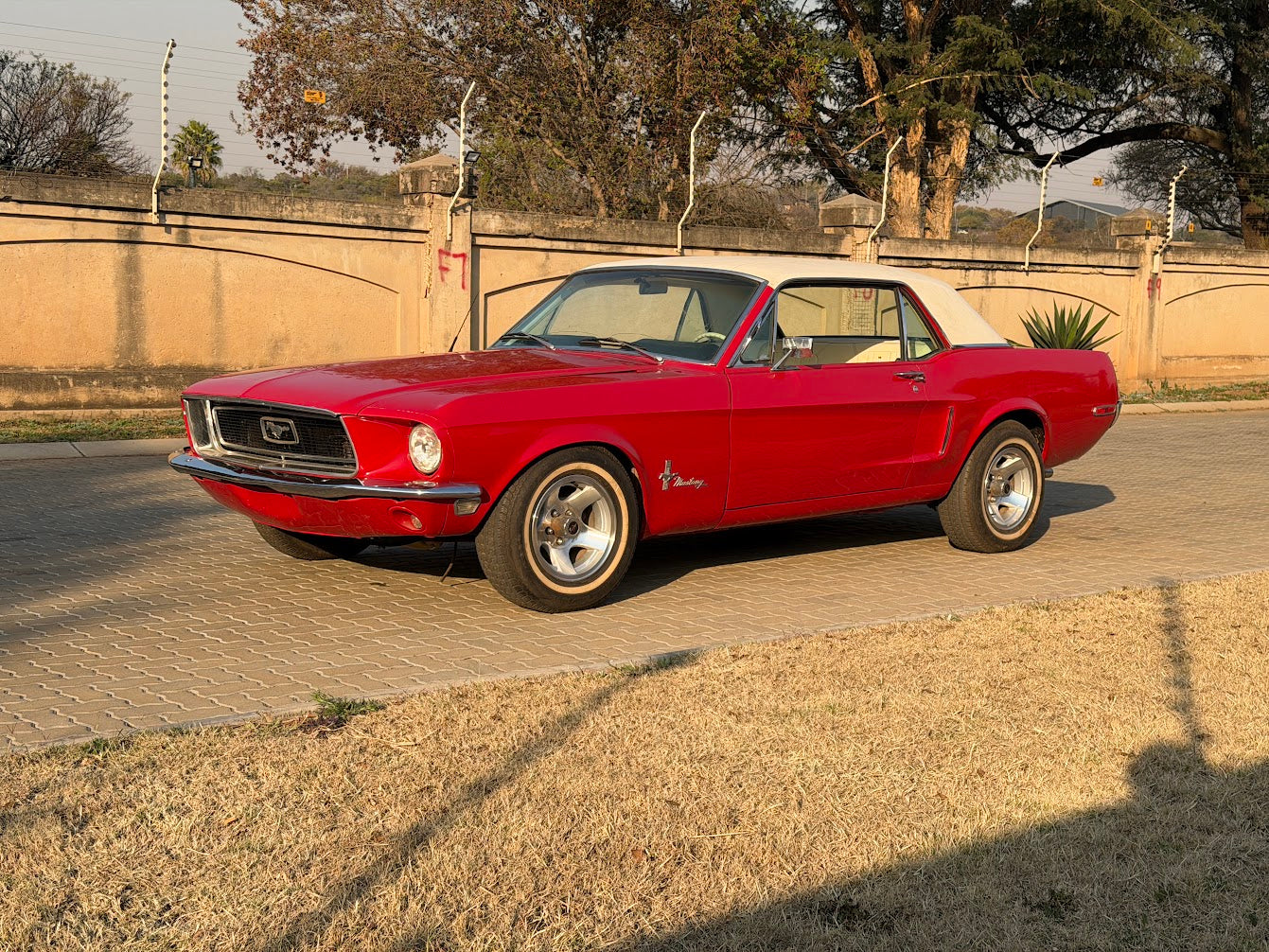 1967 Ford Mustang South Africa - photo 2