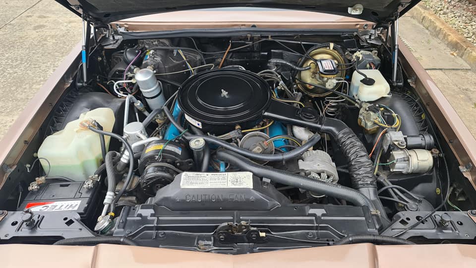 1979 Buick Riviera V8 South Africa - photo 8