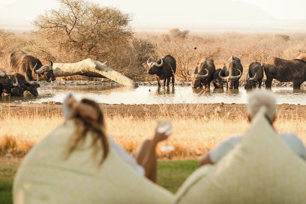 The Last Word Madikwe, Madikwe Game Reserve